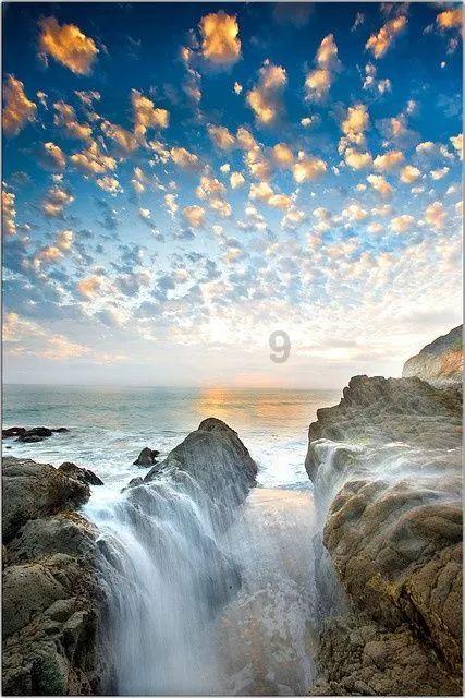 厉害了我的巧虎8