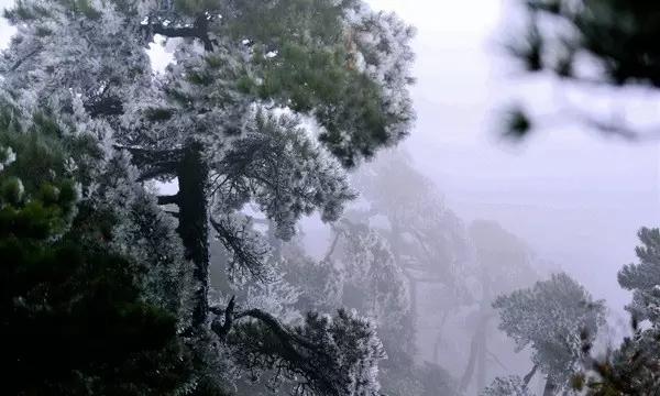 孤岛惊魂4
