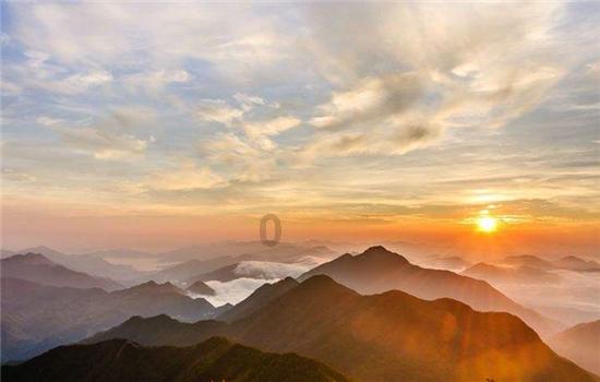 海南一男子用挖掘机掘地4米,挖出超大山药,这种山药是怎样长出来的? - 参考答案 - 烟台民意通