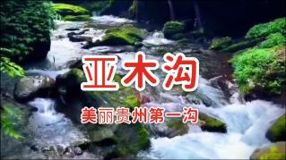 逃离荒凉的地方