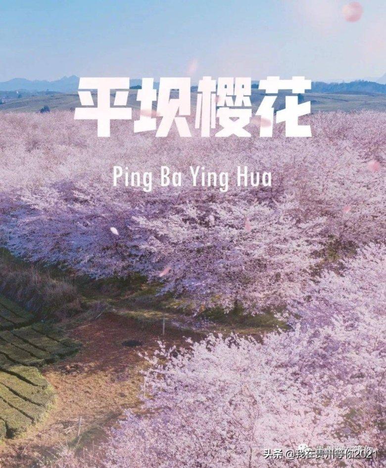 瑞风新能源1月29日起停牌 待发布内幕消息