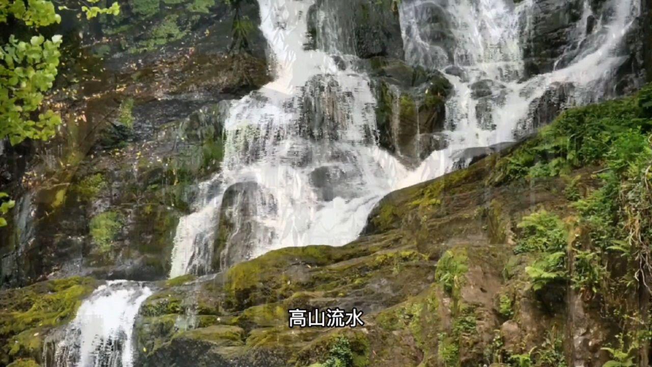 全民剧本大师内置菜单