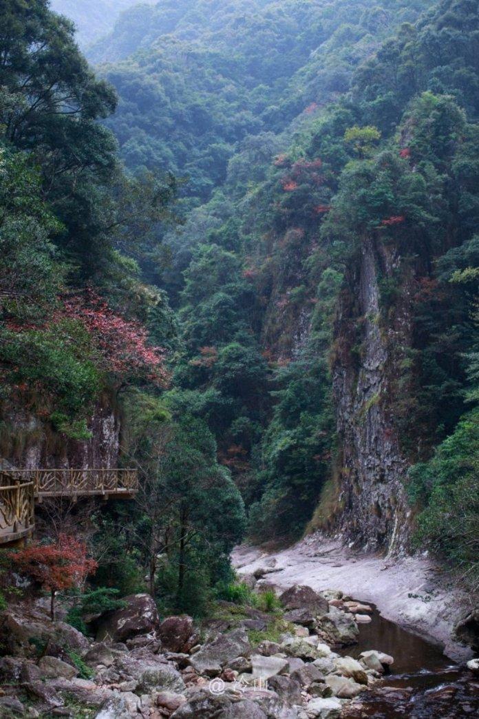 抖音上有人只有500粉丝为啥就能挂小黄车了?游戏画面
