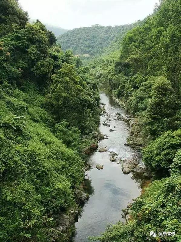 高情商、高段位、高级感的夸人话术