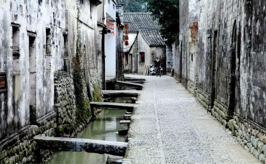 遗失之森
