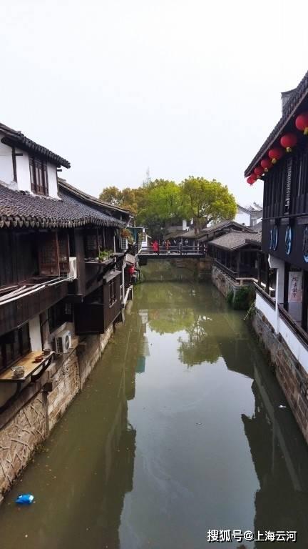动物帮帮忙保卫家园